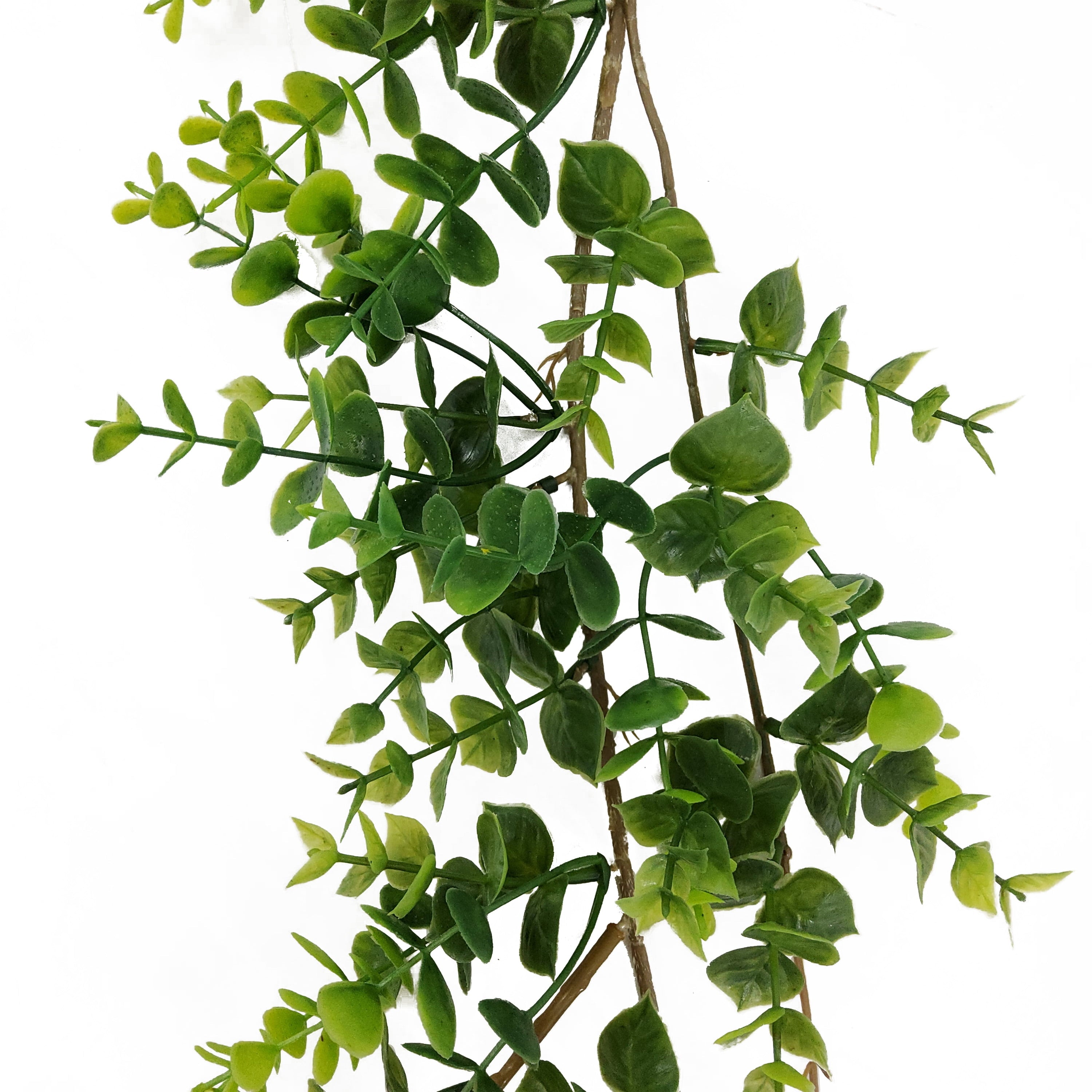 Mainstays 6' Artifical Green Boxwood Decorative Garland, Not in Pot.