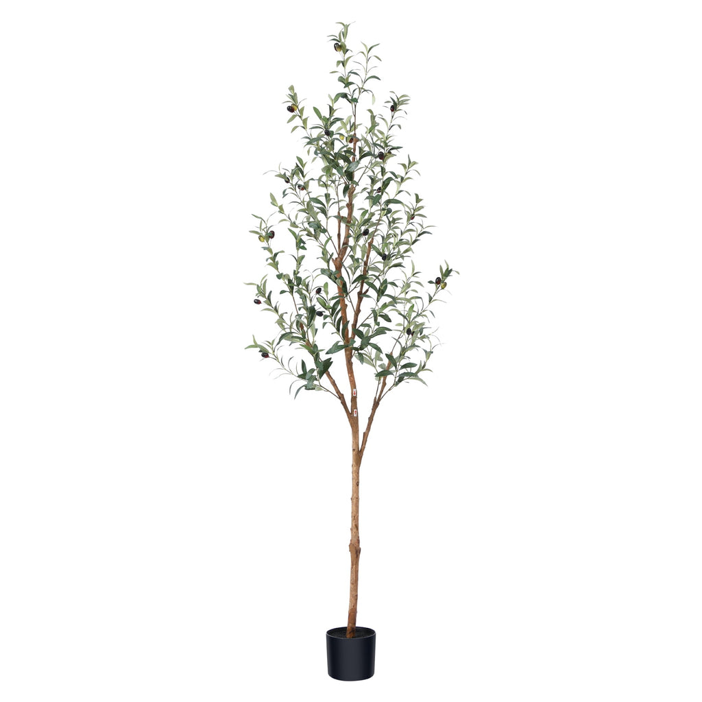 DR.Planzen 6ft Artificial Olive Tree Indoor, Tall Faux Olive Tree, Artificial Plants with Natural Wood Trunk and Lifelike Fruits for Home Office Decor